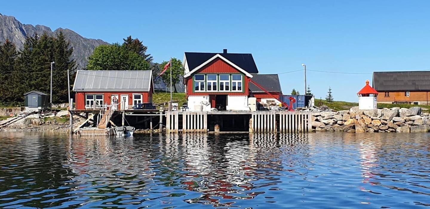 Arctic Lofoten Mini Retreat - Enjoy The Silence! Vestvagoy Eksteriør billede